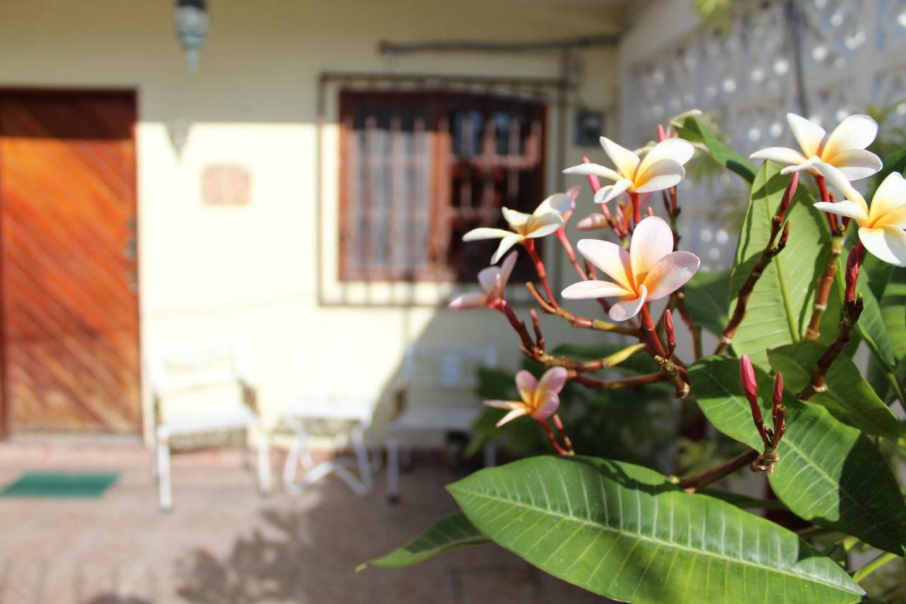 Cancun Guest House المظهر الخارجي الصورة